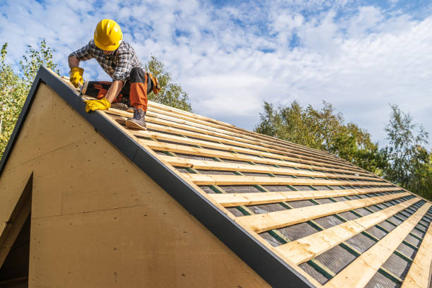 Best Roof Maintenance Services  in Jacksboro, TX